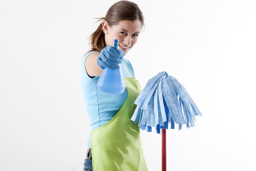 Professional carpet cleaning in a Gipsy Hill home interior