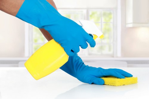 Curtain cleaning in Gipsy Hill for a fresher home interior