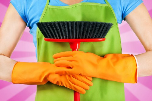 Hot water extraction cleaning for carpets in Gipsy Hill