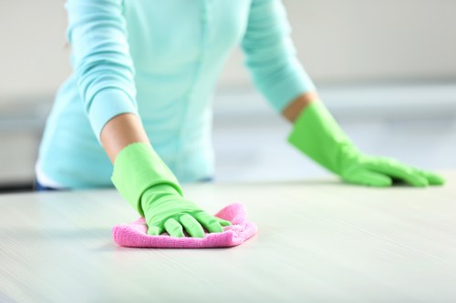 Deep carpet cleaning service in a Gipsy Hill living room