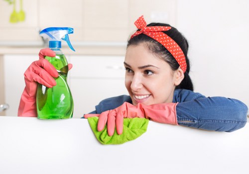 Upholstery stain treatment for sofas and delicate fabrics