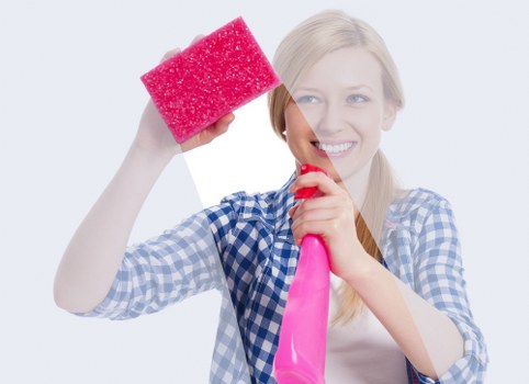 Gipsy Hill Carpet Cleaners prioritising safety, insurance, and responsible service