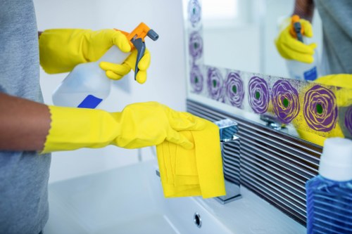 Cleaning professional preparing a carpet cleaning job