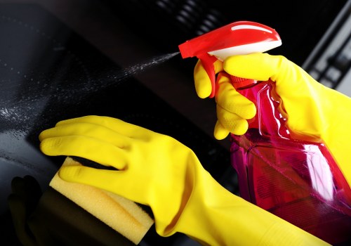 Detailed carpet care and stain removal service