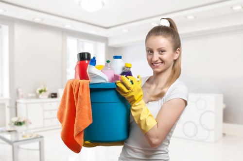 Deep cleaning equipment removing dirt from a carpet in Gipsy Hill