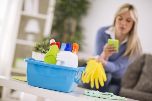 Accessibility request support for an inclusive carpet cleaners website